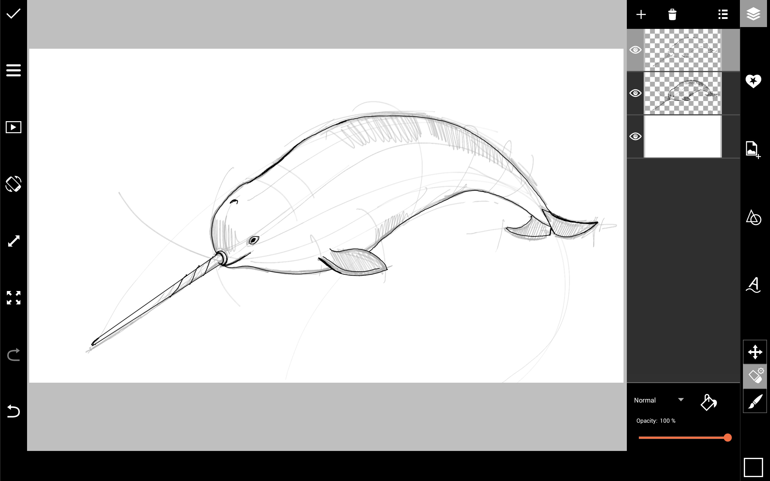 narwhal outline drawing