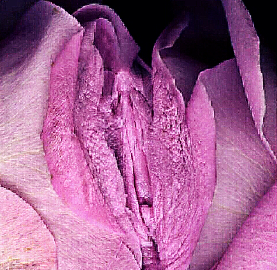 Картинки Секс Розовых