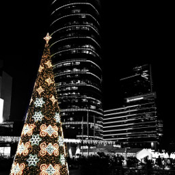 christmas holidays christmastree blackandwhite photography