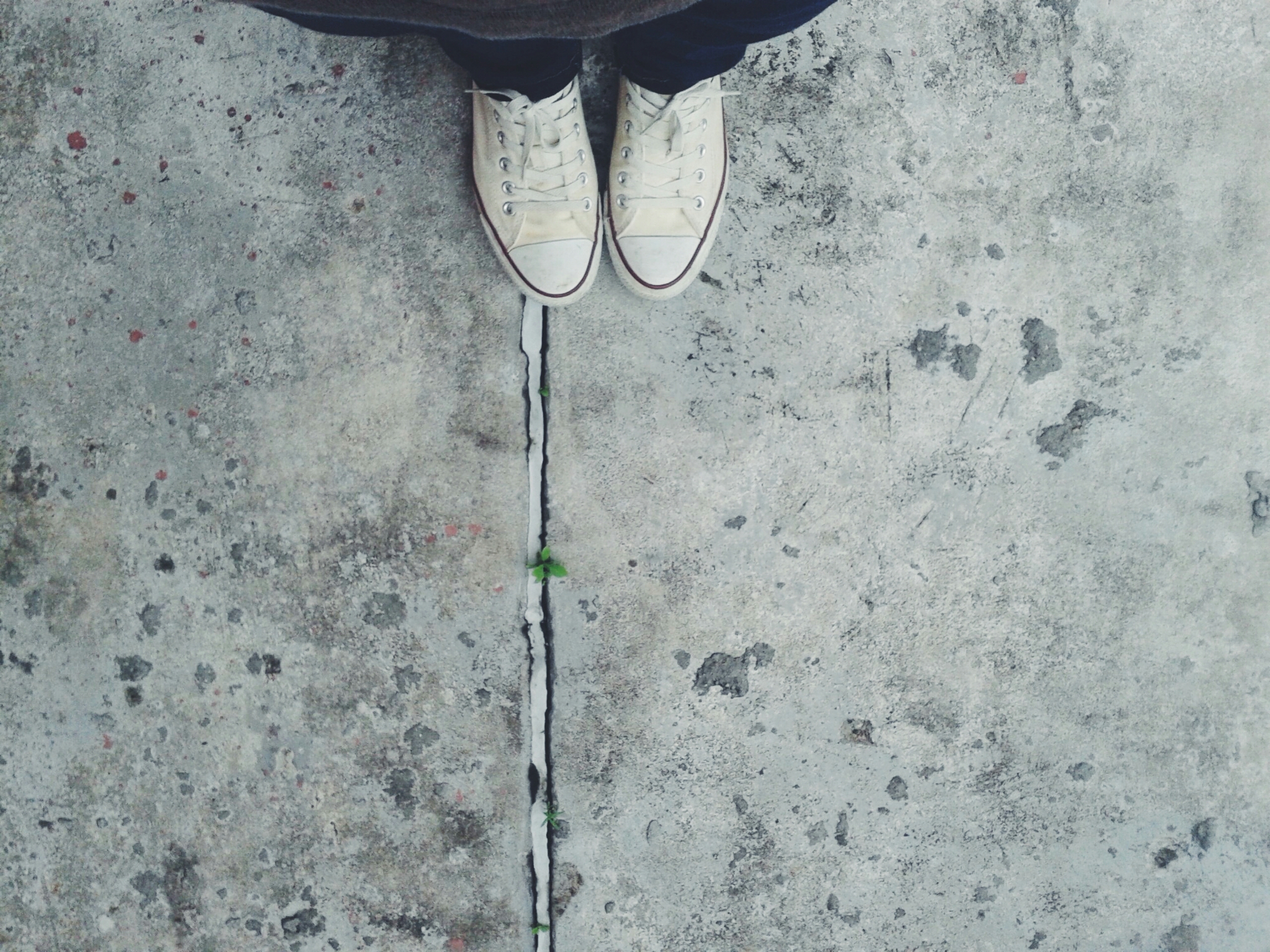 myconverse